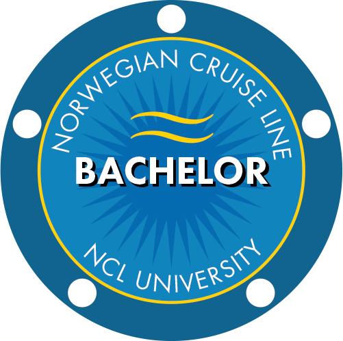NCL Bachlor Zertifikat