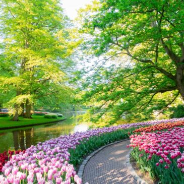 Niederlande