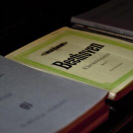 beethoven jahr kreuzfahrt