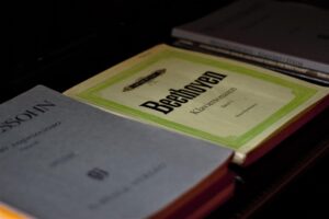 beethoven jahr kreuzfahrt