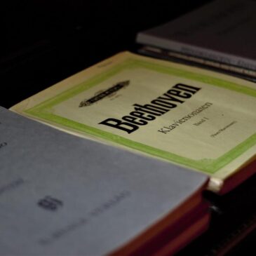 beethoven jahr kreuzfahrt